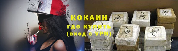 шишки Нязепетровск