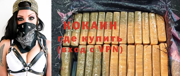 шишки Нязепетровск