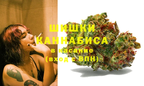 твердый Няндома
