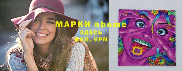 твердый Няндома