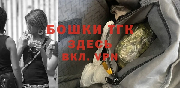 твердый Няндома