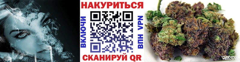 Бошки Шишки Amnesia  Кола 