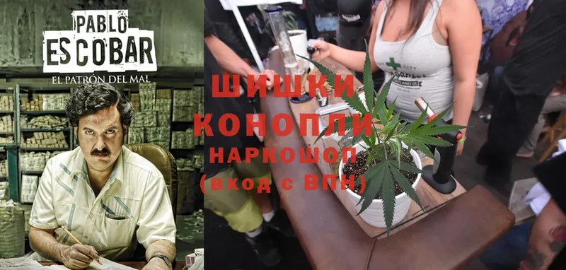 Бошки марихуана Ganja  наркошоп  Кола 